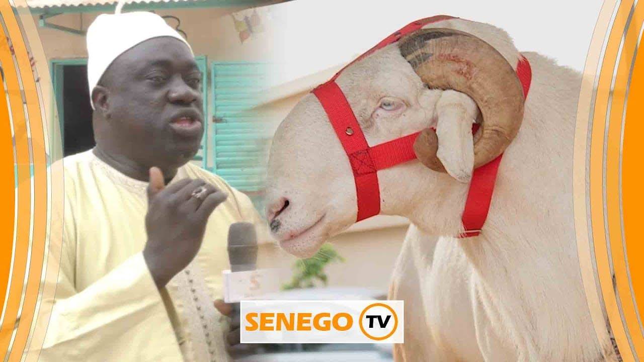 Tabaski ou Aid – le mouton : sens, finalités, règles et questions pratiques