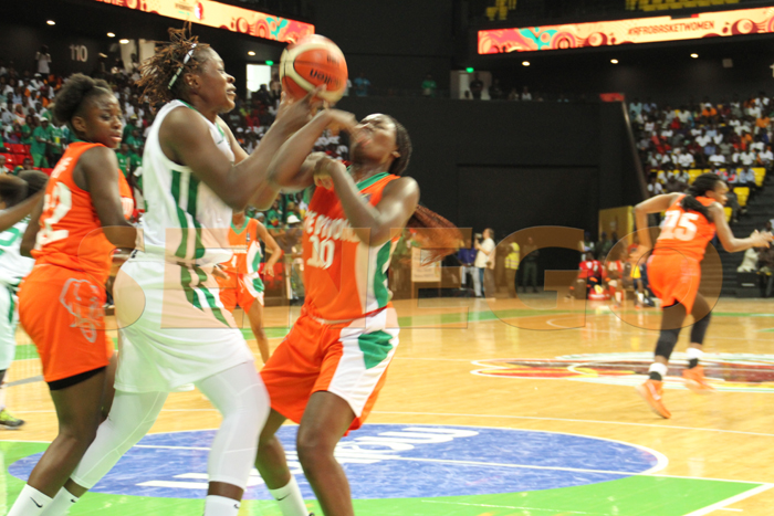Afro Basket : La belle entrée en matière du Sénégal (77-36)