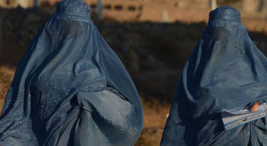 Rebeuss : Deux hommes avec de fausses hanches et de faux seins arrêtés…