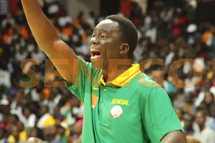 Basket – Poste de Sélectionneur des Lionnes: Moustapha Gaye aurait rencontré Cheikh Sarr…