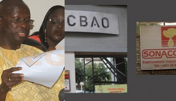 Vente immeubles Sonacos : Fada impuissant…