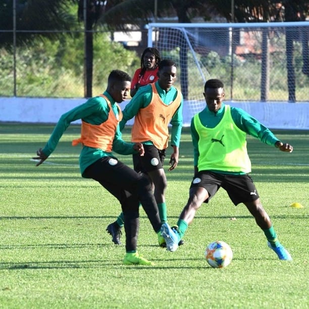 74664657 1032680877123828 6832985469752442880 n - Mondial U17: Après les Etats-Unis, les Lionceaux préparent les Pays-Bas