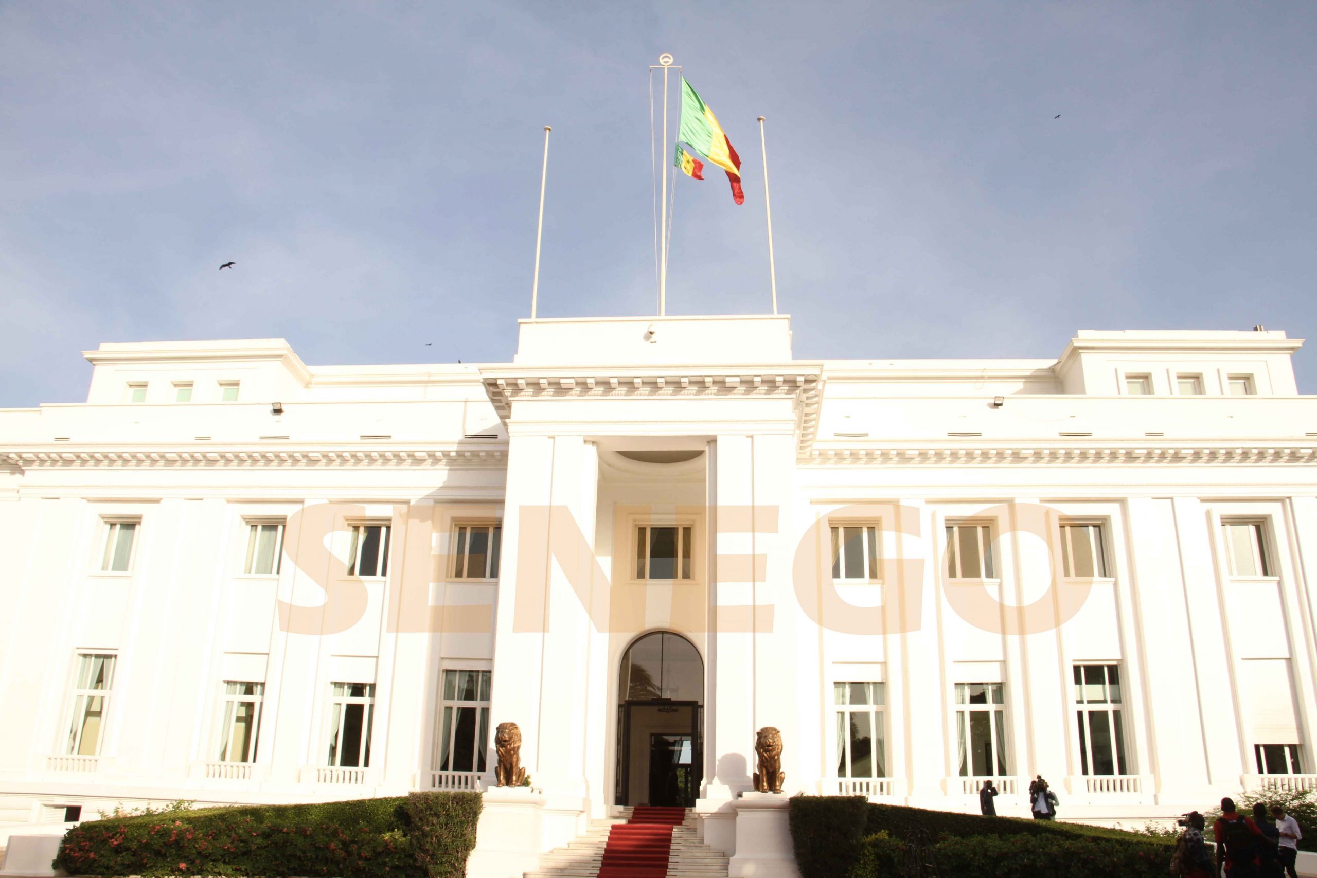 PALAIS-D