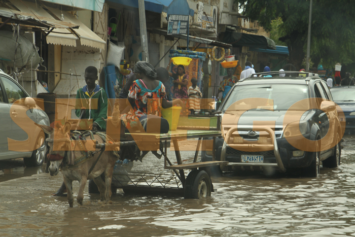 touba pluie inondation 1 - Photos - Touba sous les eaux, à quelques jours du Magal