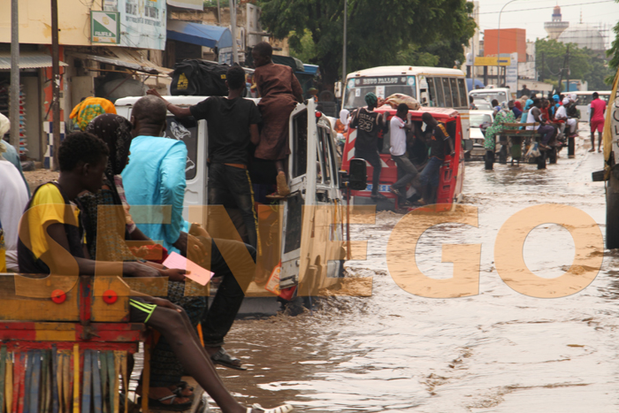 touba pluie inondation 4 - Photos - Touba sous les eaux, à quelques jours du Magal