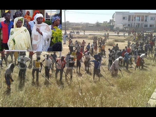 Gamou 2019 : Les mourides organisent un grand set setal à Tivaouane (vidéo)