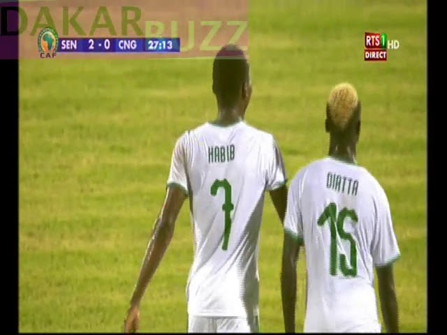 Sénégal- Congo : Habib Diallo marque le 2e but (vidéo)