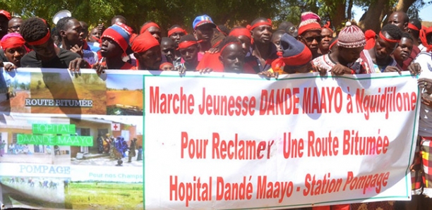 Trahi par Macky Sall : « Dandémayo émergent » brandit le vote sanction aux futures échéances