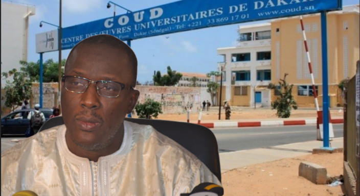 Malaise chez le ministre Cheikh Omar Hanne : Une cascade de démissions enregistrées