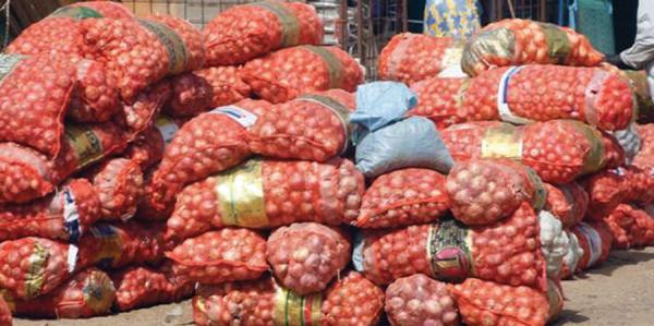 Spéculations « malhonnête » sur l’oignon à Touba : Des dizaines de tonnes saisies et revendues à prix normal