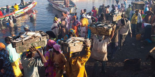 Pillage des eaux sénégalaises : Fu Yuan Yu, l’autre scandale