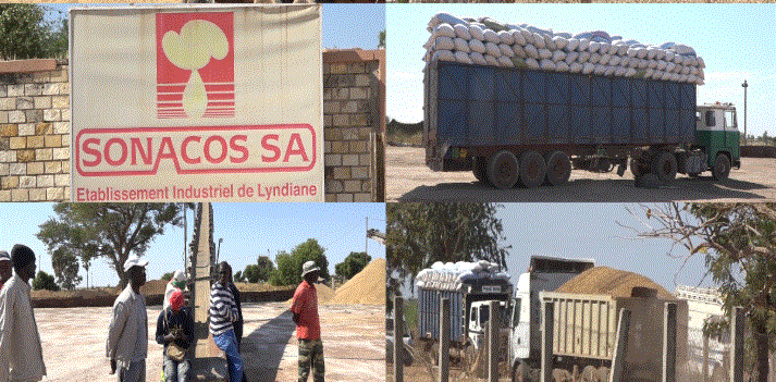 Sonacos : Fada licencie 1050 salariés…