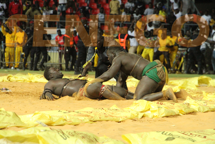 27 Photos Lutte Drapeau Macky Sall Eumeu Sene Jr Detrone Bour Sine A L Arene Nationale Senego Com