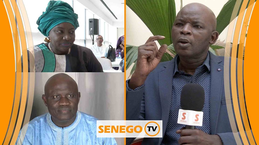 Senego-TV : « Mimi Touré est un atout pour le Macky », Sidy Bara Fall