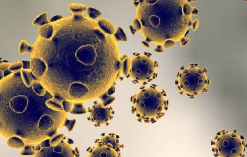 Téléthon And Xeex Coronavirus: Des chaînes de télé collectent 26 millions