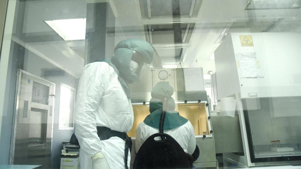 La durée de vie du coronavirus enfin connue?