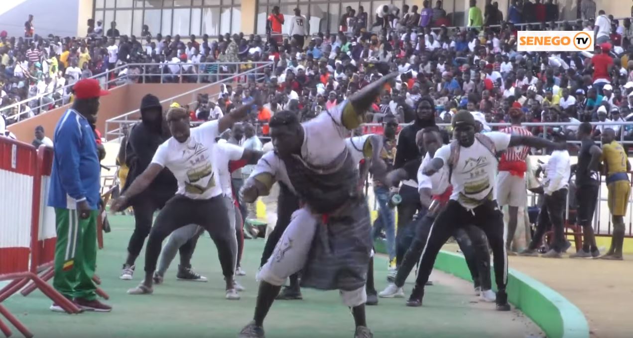 Lutte : Touss de Franc de l’écurie parcelles Mbollo (Senego Tv)