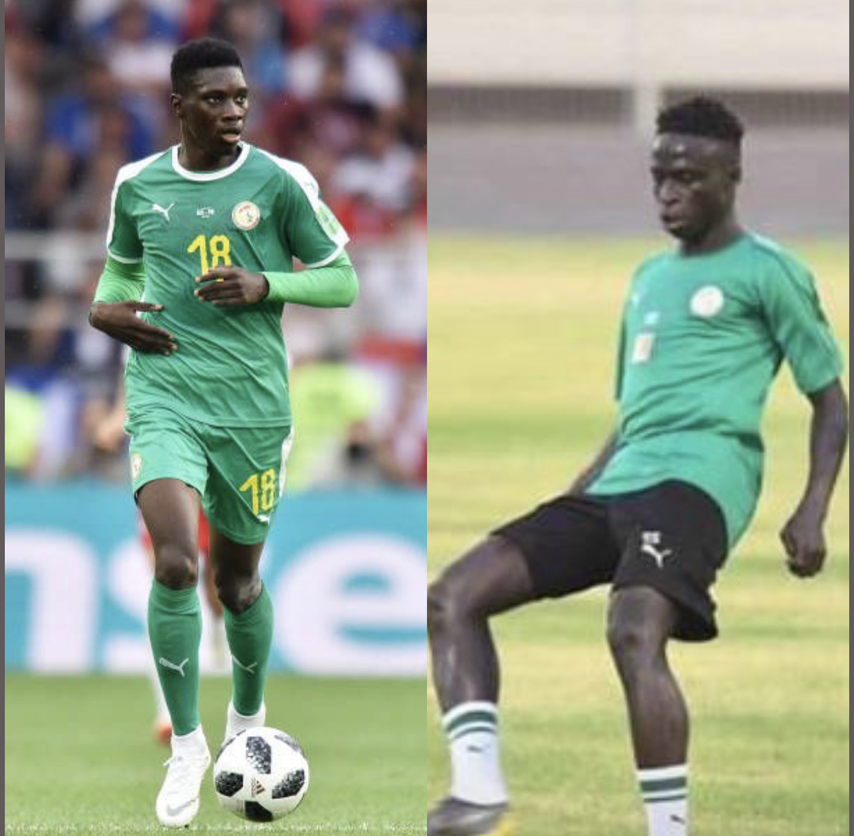 Cheikhou Kouyaté à Ismaïla Sarr: « Yaw ak Krépin yénay futures stars équipe nationale »