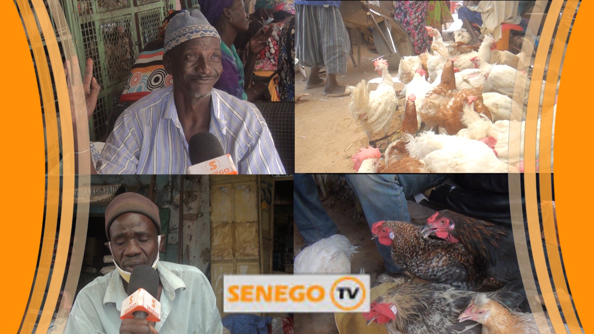 Ramadan et Covid -19 : La maladie impacte les vendeurs de poulets à Touba (Senego Tv)