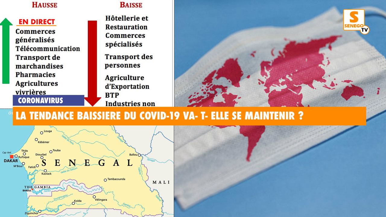 Revivez sur Senego TV : La tendance baissière du covid-19 va-t-elle se maintenir ?