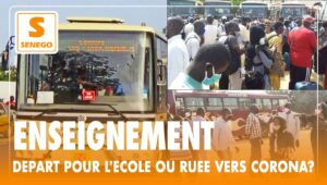 enseignement enseignement