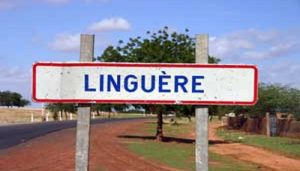 Linguère : Le préfet interdit les rassemblements, manifestations et cortèges …