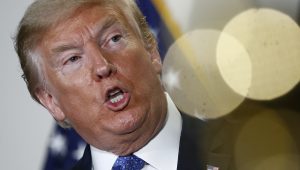 Donald Trump Donald Trump