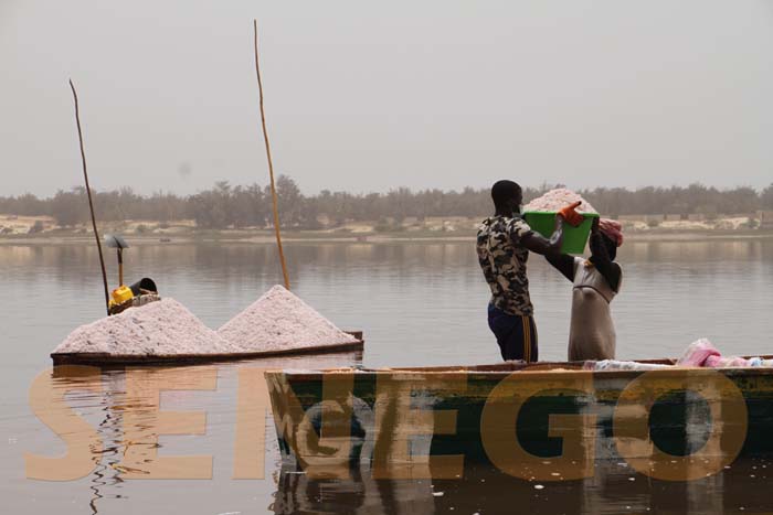 (15 photos) – Vivre au Lac rose en temps de covid-19