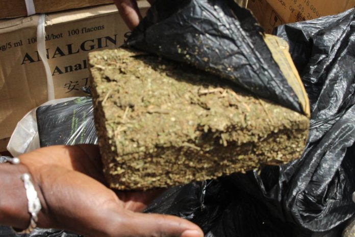 Saisie de drogue à Touba : Un dealer de 56 ans arrêté en possession de 1 kg de chanvre indien