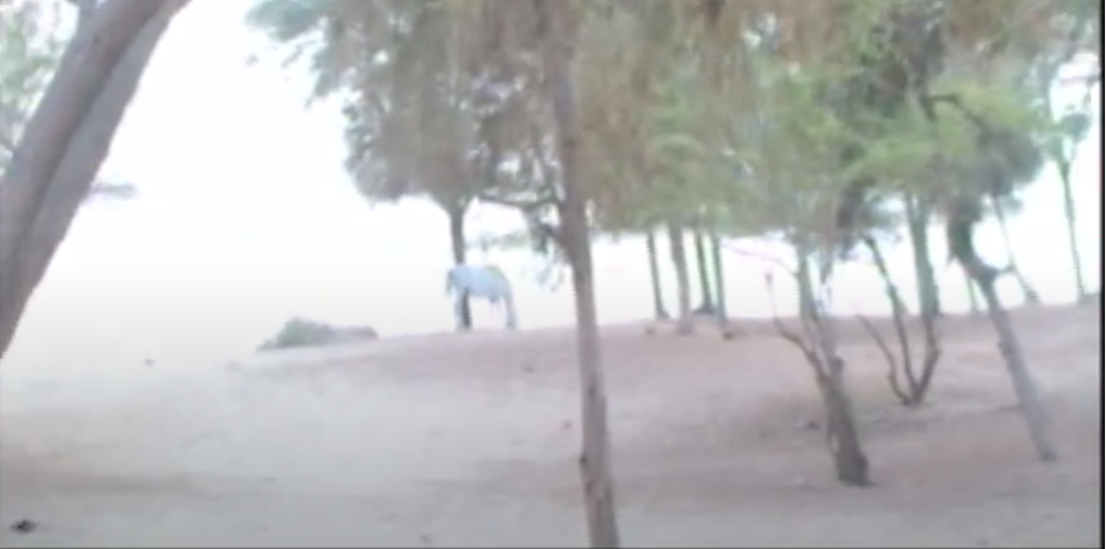 Boulimie foncière à Louga : un SOS pour sauver le littoral de Potou (Vidéo)