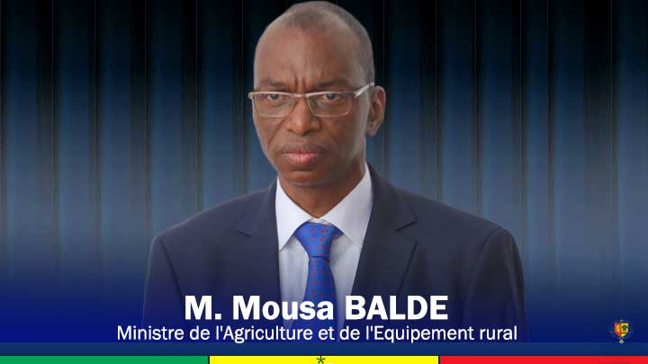 Journée mondiale de l’agriculture : Grincement de dents au ministère de Moussa Baldé