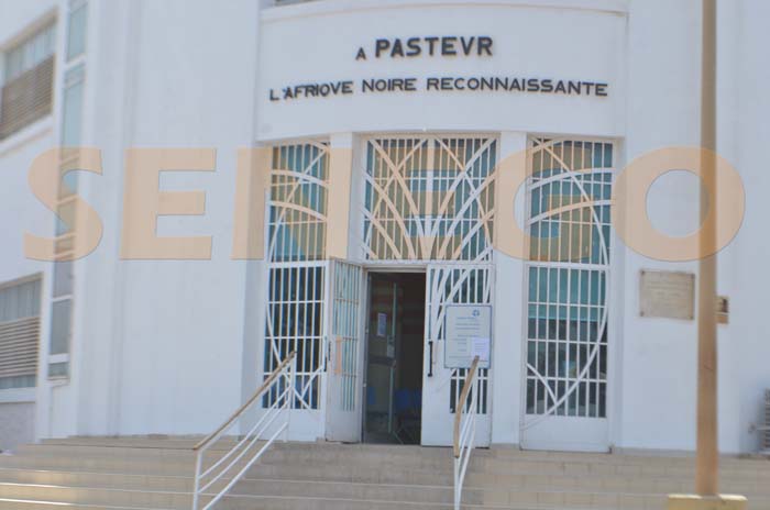 Encore des tests erronés à l’institut Pasteur : L’OMS saisie pour enquête