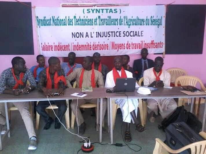 La lettre ouverte du Synttas* au président de la République, Macky Sall