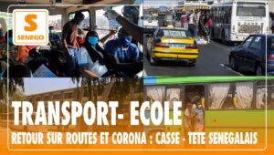 transport, corona transport, corona