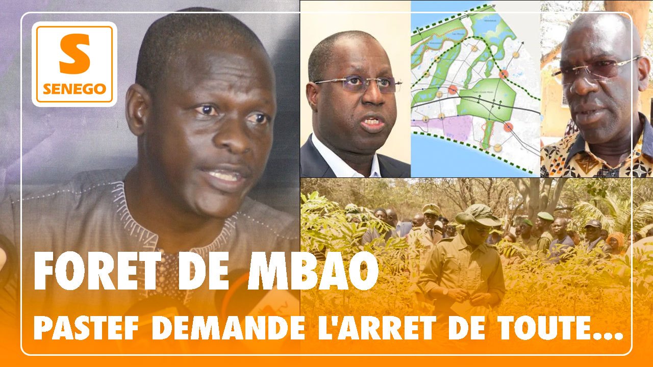 Déclassement forêt de Mbao : Pastef demande l’arrêt de toute procédure… (Senego Tv)