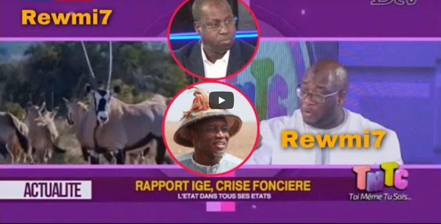 Vidéo – Affaire oryx : Birahim Seck dénonce un crime international… Regardez