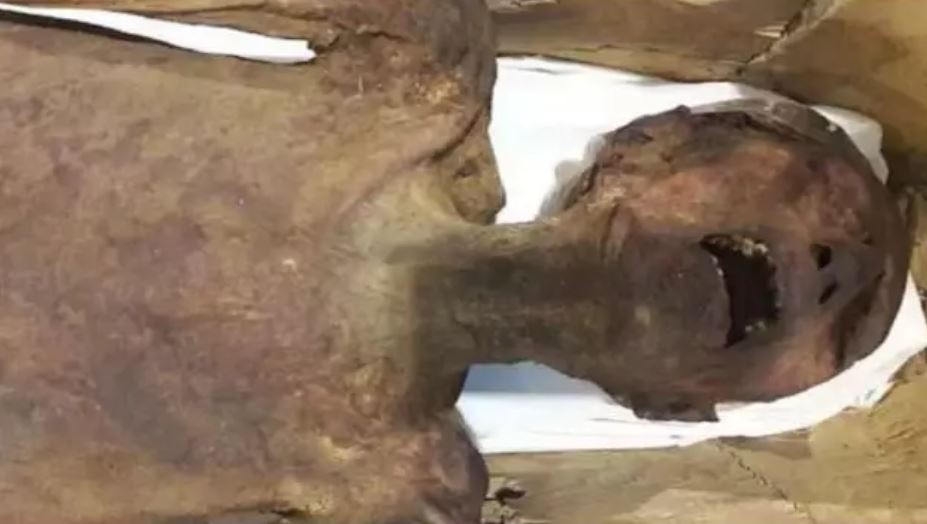 « Screaming Mummy » révélée être une princesse Egyptienne décédée d’une crise cardiaque