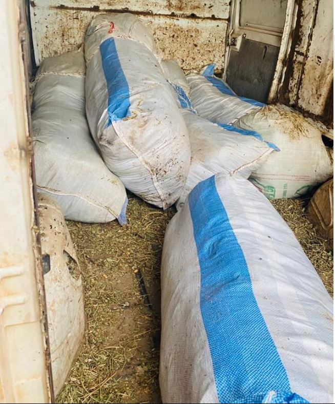 Trafic de drogue : La Douane saisit encore 335 kilos de chanvre indien dans un dépôt à Kounoune