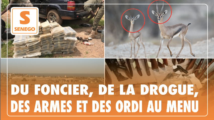 Direct – Feuss net : Du foncier, de la drogue, des armes et des ordi au menu