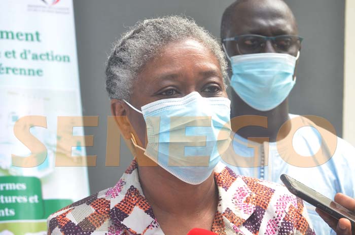 Riposte covid-19: « La transparence dans la gestion est un atout pour le Sénégal », Lucile Imboua