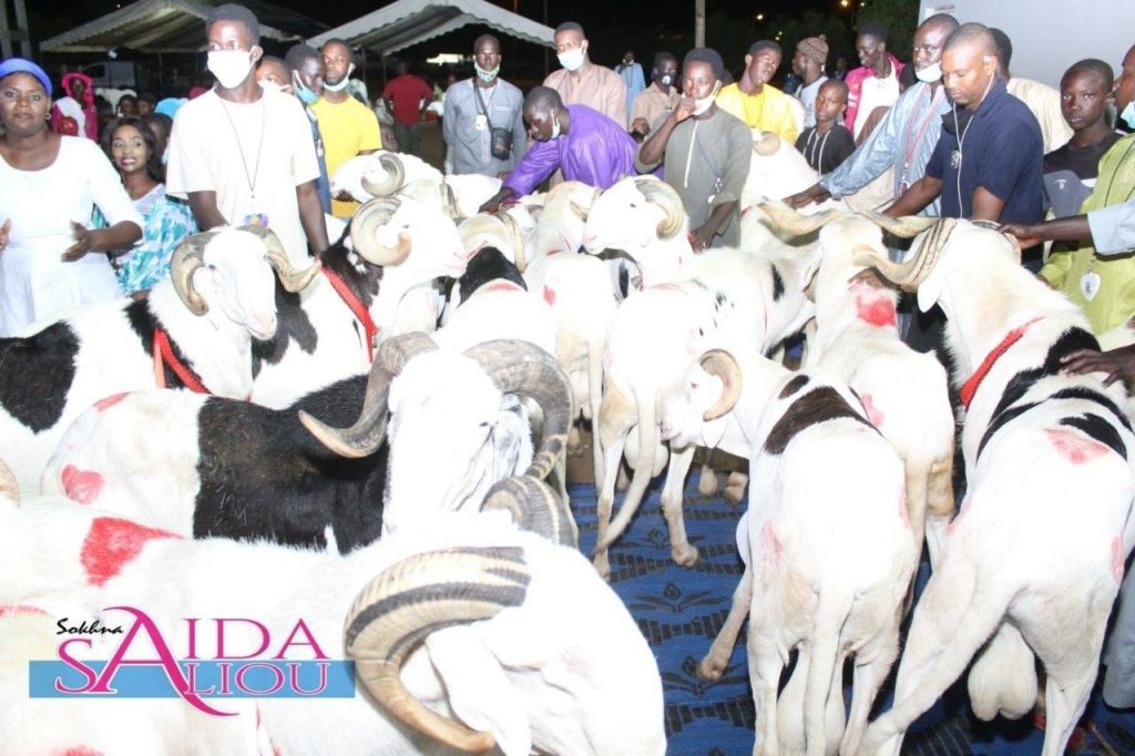 (05 Photos) Tabaski : Des Thiantacones offrent de gros moutons à Sokhna Aïda…offrent de gros moutons à Sokhna Aïda…