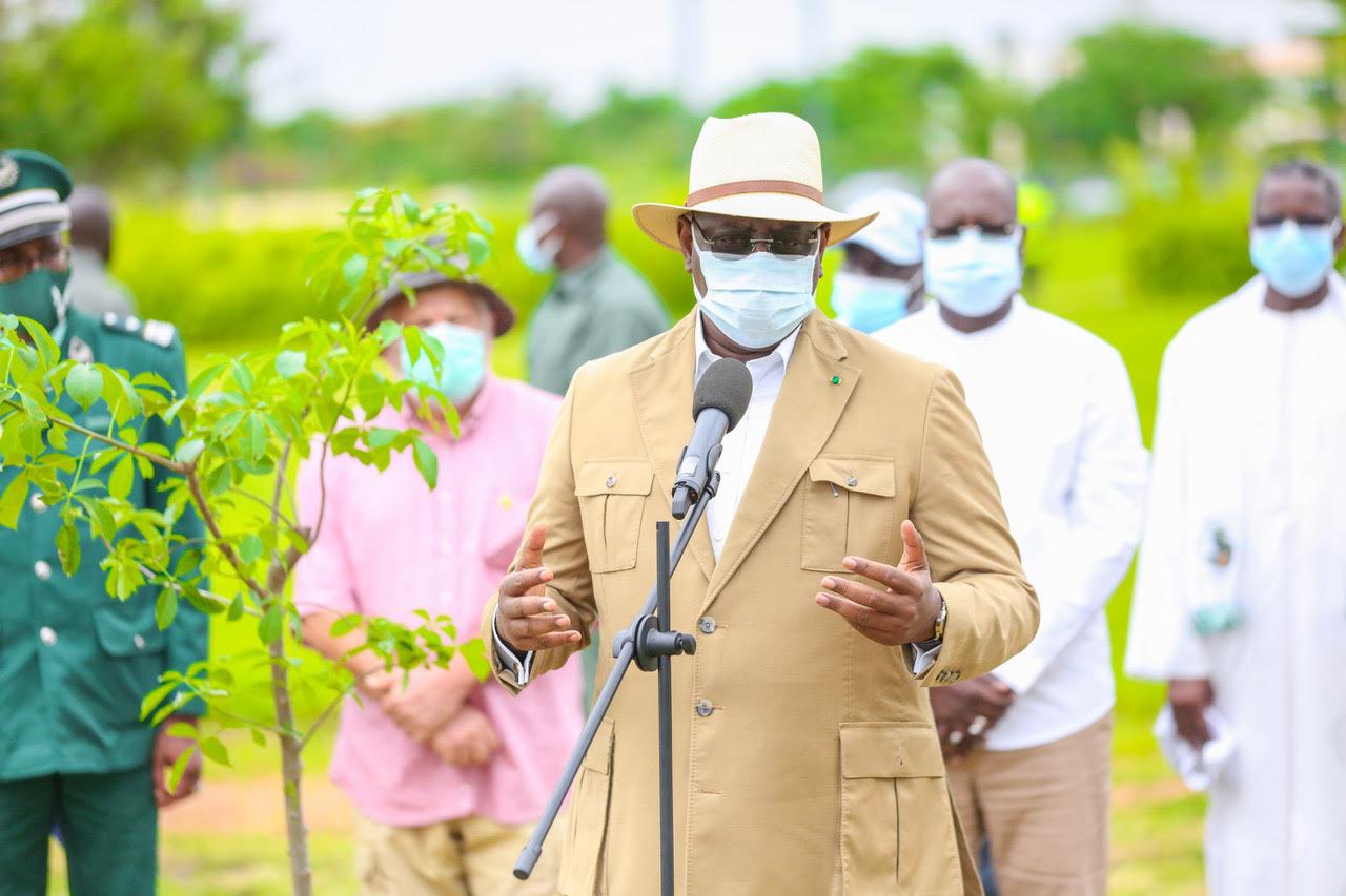 Macky Sall : «Je recommande aux Sénégalais de planter un arbre pour… »