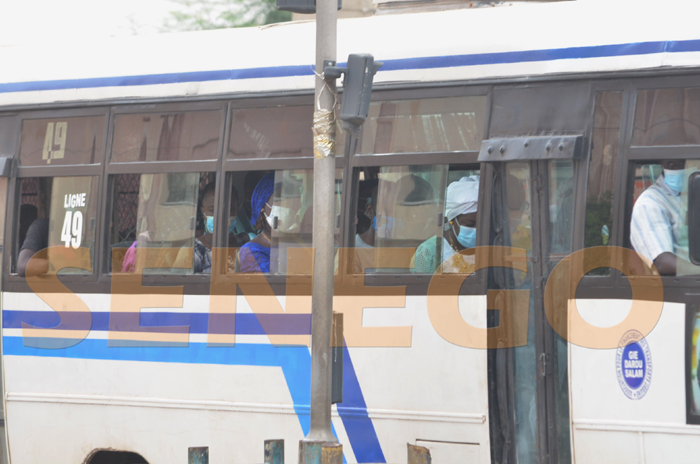 (15 photos) – Covid-19 et Tabaski, le ministre Diouf Sarr voyait venir la catastrophe