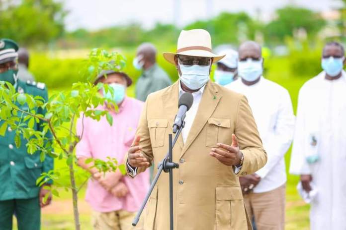 Journée nationale de l’arbre : Macky  Sall célèbre le Baobab à Diamnadio