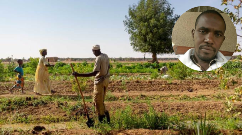La situation agricole à Kolda passée au crible dans les Nouvelles de Kolda