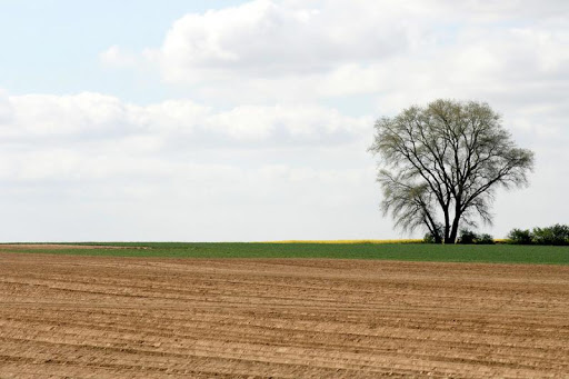 Domaine national: Le décret adopté puis retiré reste introuvable