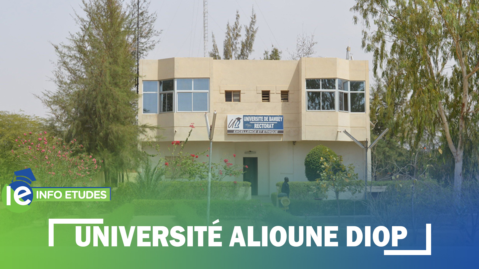 Université de Bambey : L’étudiant Alioune Badara Ndiaye est décédé d’une hépatique