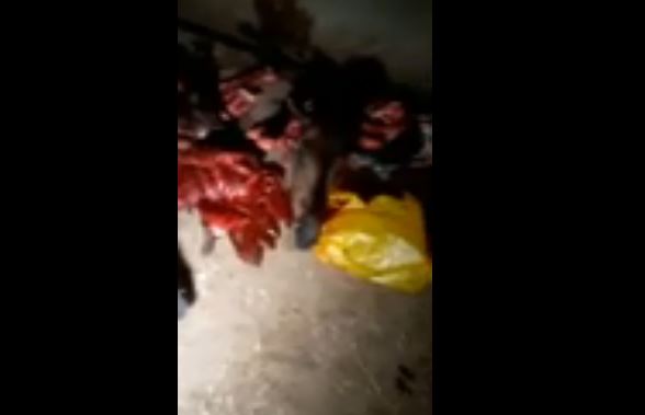 Un réseau de vente de viande de cheval déniché à Yarakh : Deux bouchers arrêtés…(vidéo)