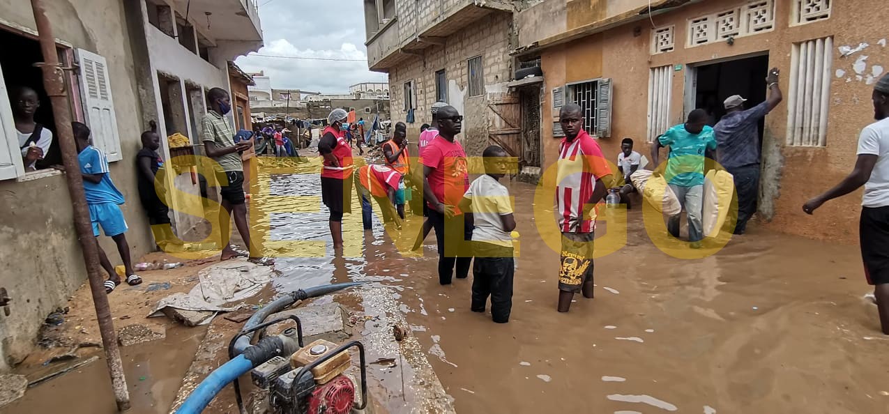 Fortes pluies à Pikine : La situation est critique; des familles sans toit désemparées (Vidéo)