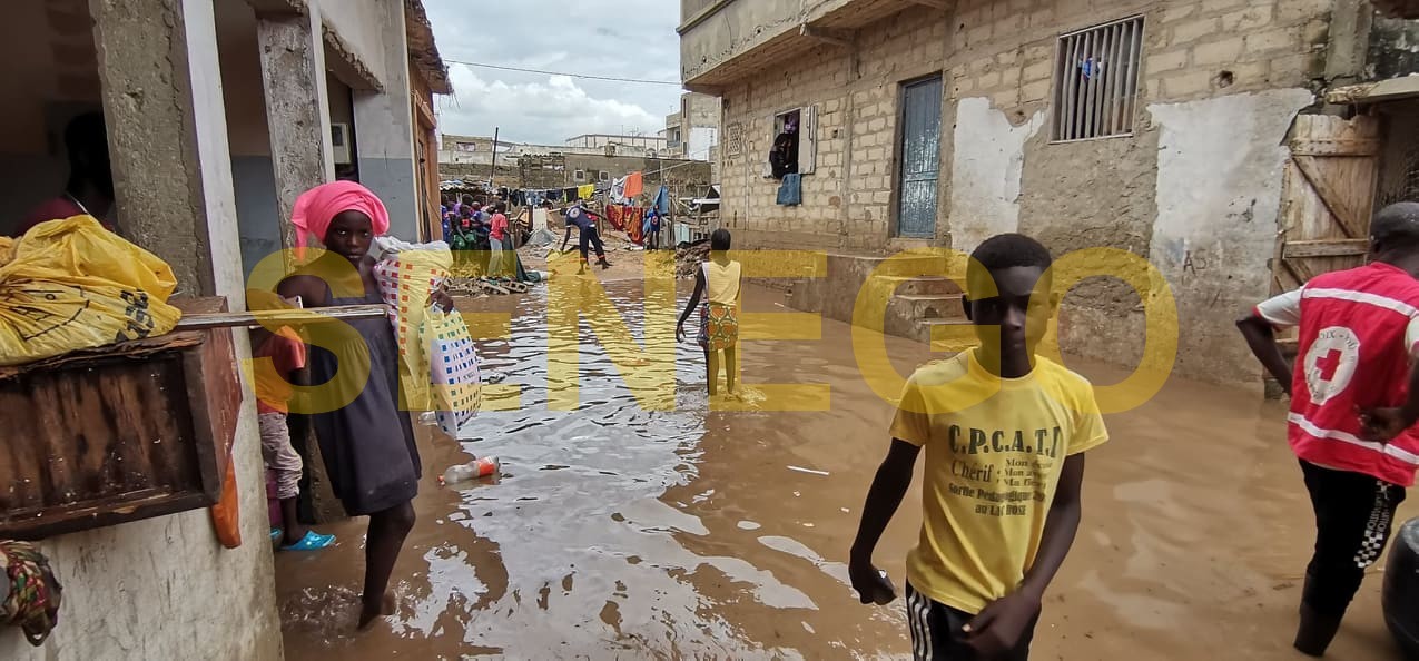 Kaolack : Une forte pluie crée des difficultés dans plusieurs quartiers… Cheikh Tidiane Diéye fait une annonce…